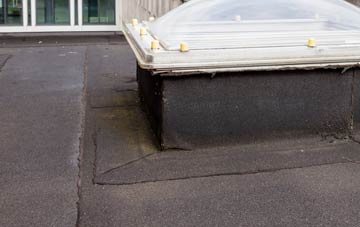 disadvantages of Dreenhill flat roofs