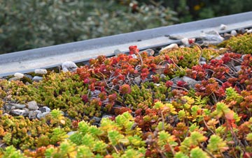the cost of Dreenhill green roof installation