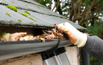 gutter cleaning Dreenhill, Pembrokeshire