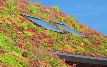 Dreenhill living roof systems
