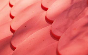 Dreenhill plastic roof costs