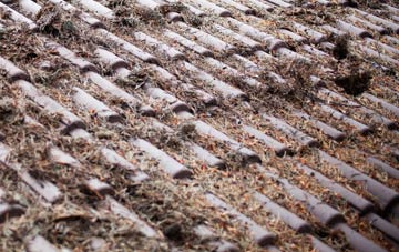 Dreenhill roof cleaning companies