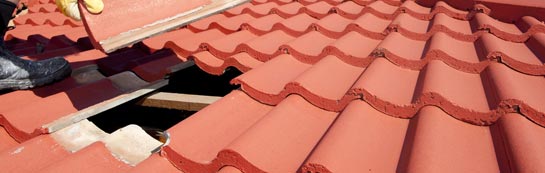 compare Dreenhill roof repair quotes