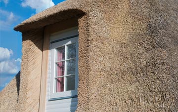 Dreenhill thatch roof disadvantages