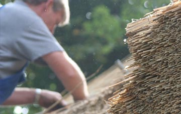 professional Dreenhill thatchers