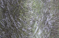 Dreenhill fibreglass roof work