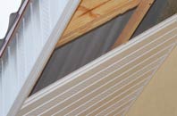 rated Dreenhill soffit repair companies